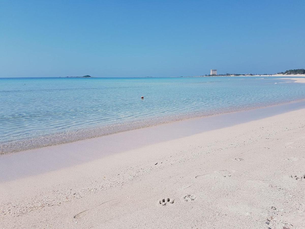 Hotel Posidonia Porto Cesareo Zewnętrze zdjęcie